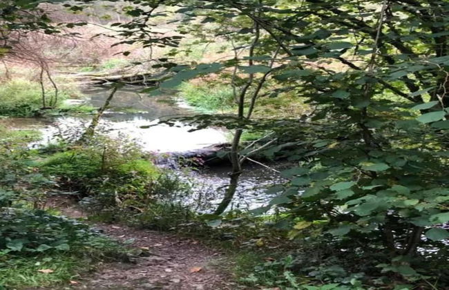 Ardennes Stay for 21 Guests - Photo 33