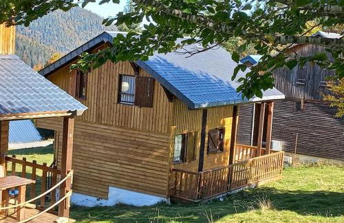 Chalet le Brespail - Station le Mourtis - Foto 1