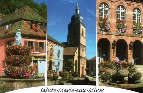 LES HORTENSIAS - Foto 8