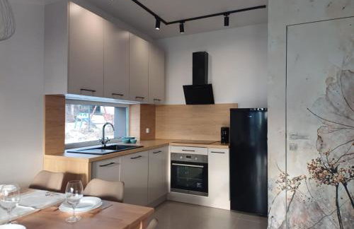 Domek Leniuchowanie- kominek, ognisko, faktura - Foto 6