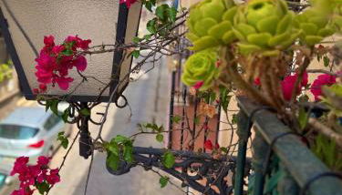 Aires de Triana - Foto 2