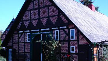 de lüt Ferienhof Jameln - Foto 5