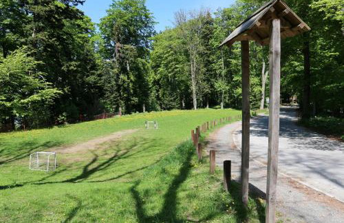 Aparthotel Snjezna Kraljica - Foto 92