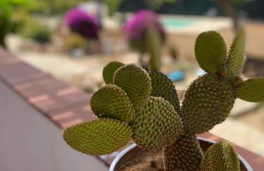 Villa Sara - Villa con piscina - Foto 23