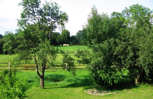 Fewos in Klein-Grindau - Photo 11