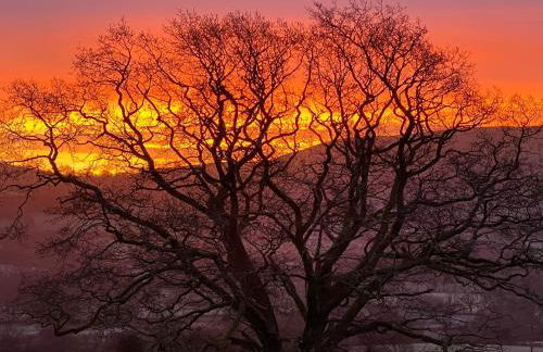 Cae'r Beili - Photo 33