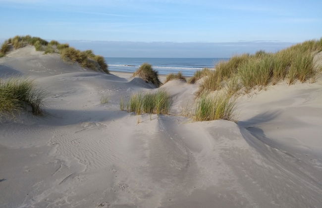 Apartment in Hollum Near the Sea - Foto 31