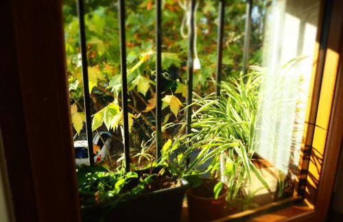 Can Marlot - Foto 34