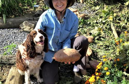 Historic Cabin near Luray Caverns Perfect for a Family Vacation in Virginia - Foto 8