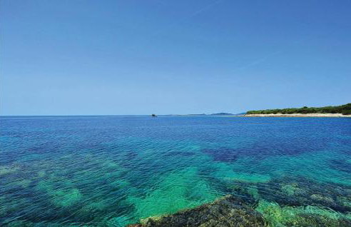 Amazing Home In Dragove - Foto 33