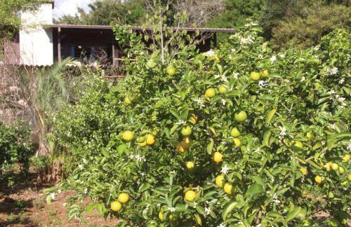 Chalé na Serra Gaúcha, em Picada Café!! - Foto 31