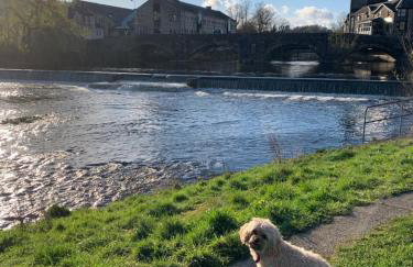 Central Kendal Retreat - Work or Holiday friendly - Foto 23