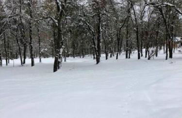 Bear Paw Cabin new construction near Yosemite - Foto 32