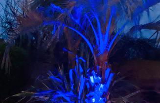 VILLA KER BLEUENN * 10 PERSONNES * PISCINE * SAUNA - Foto 31