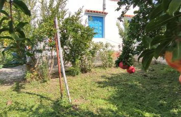 Garden house - Photo 78