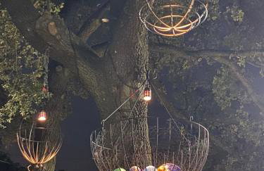 Luxe Dallas Estate Nearly Half Acre Skyline Views - Foto 5