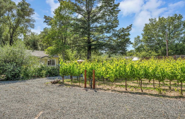 Grapevine Cottage by Avantstay Hobby Vineyard + Firepit - Foto 43