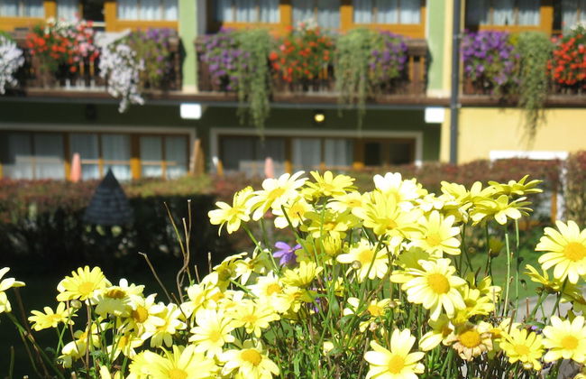 Bio Bauernhof Hotel Matlschweiger - Foto 59