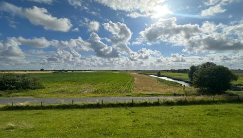 Ferienhof HaaBo - Foto 3