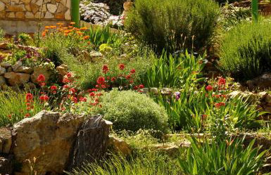 Apartments-Estate under the Paintbrush - Photo 66