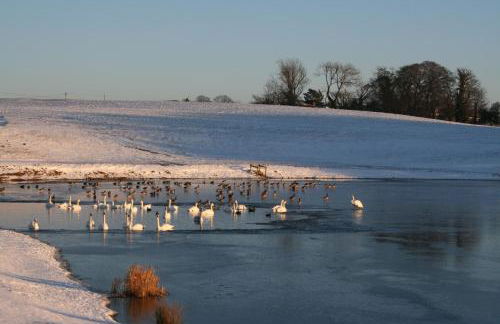 Pattys Barn Holiday Cottages, Cabins and Venue Hire - Foto 65