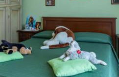 El Giardino delle Rose..... - Foto 17