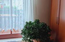 Ferienhaus Töpferblick-Hartau - Foto 20