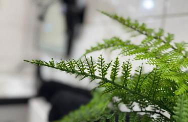 Moselgold Apartment - Foto 50