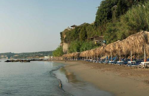 Ανεμώνη - Anemoni - Foto 5