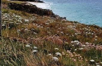 "Ty Nonod" Quiet Breton farmhouse 500m from the sea in Lampaul-Plouarzel - Foto 19