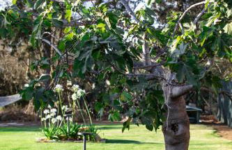 Appartamento Camisa - Il Fico - Foto 72