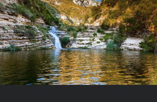 Don Pasqualino - Foto 21