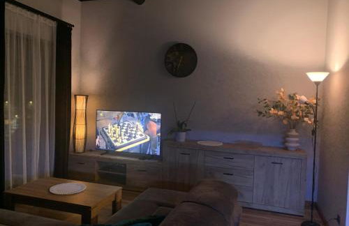 Bulwar Apartament Stare Miasto - Foto 14