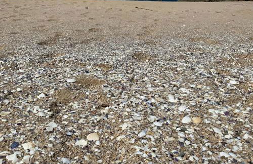 Magnifique villa face à la plage de Pors Peron - Foto 16