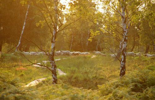 Ferienwohnung in Roetgen am RAVel-Radweg Hike & Bike & Business - Foto 24
