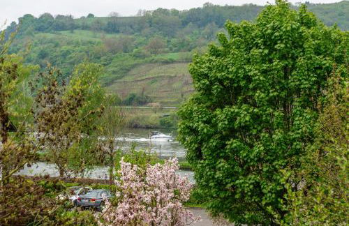 Familienwohnung mit Moselblick und Spielzimmer - Foto 30