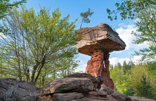Ferienwohnung Alt Pirmasens - Foto 12