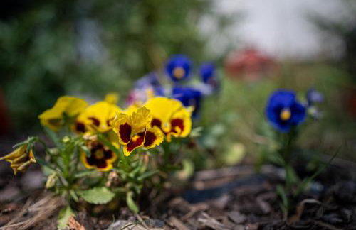 Apartamenty Wypoczynkowa 24 - 700m od Park Wodny Suntago Wręcza - Photo 43