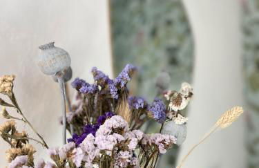 Agriturismo CasaViVa - Foto 64