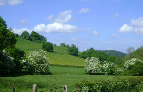 The Forest Country House B&B - Foto 28