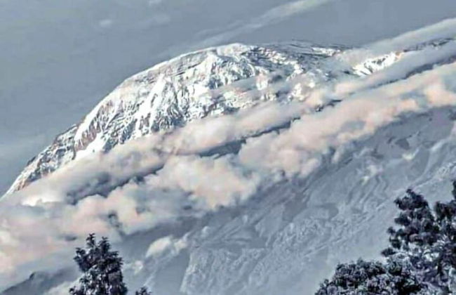 Simba Villa - Foto 15