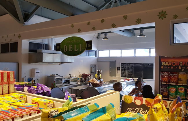 Ocho Rios Villa at Coolshade III - Photo 76