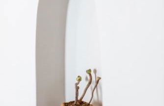 Althea Anafi Suites - Foto 30