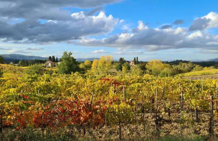 Casa Colonica - Foto 41