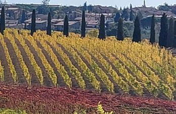 Molino della Tuoma - Foto 60