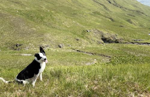 Auch - Cottages - Photo 15