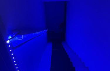 1 Bedroom Pet Friendly Apt Wd Free Wifi, Parking, Netflix & Pool Table. Sleeps 3 - Photo 55