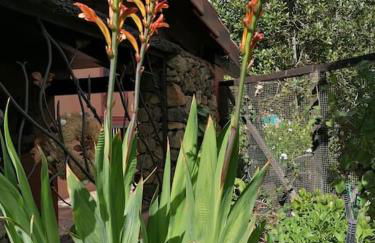 HACIENDA LA CENTENARIA,CASAS RURALES - Foto 11