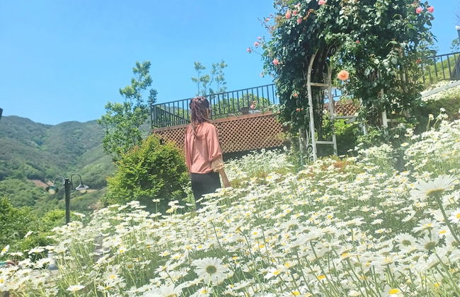 Emotion Pension - Foto 38