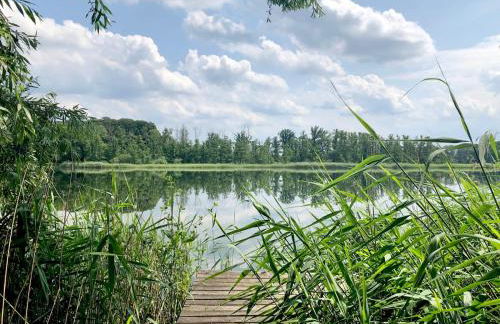 Landhaus mit Garten & Kamin, für Familien & Freunde - Foto 4
